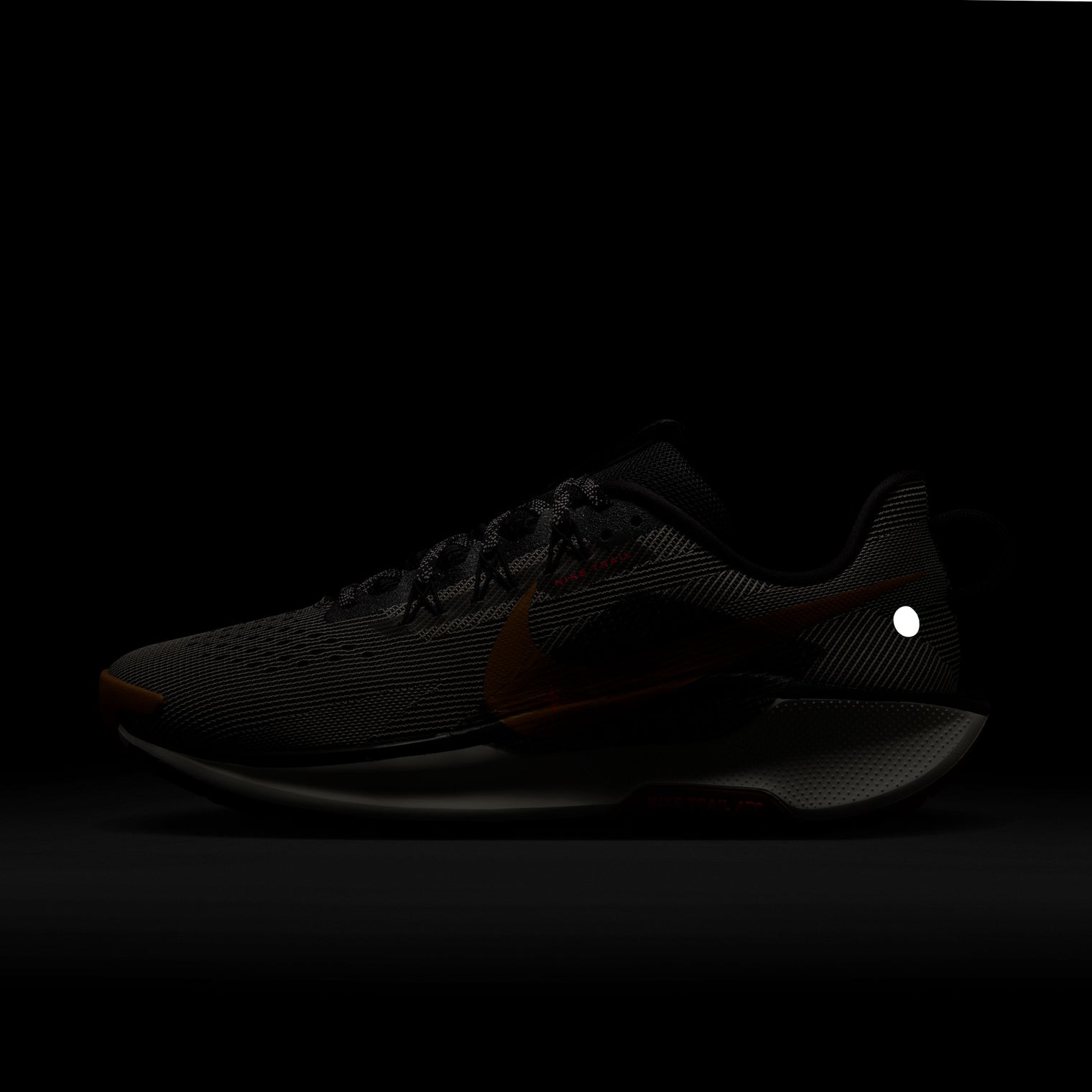 NIKE REACTX PEGASUS TRAIL 5