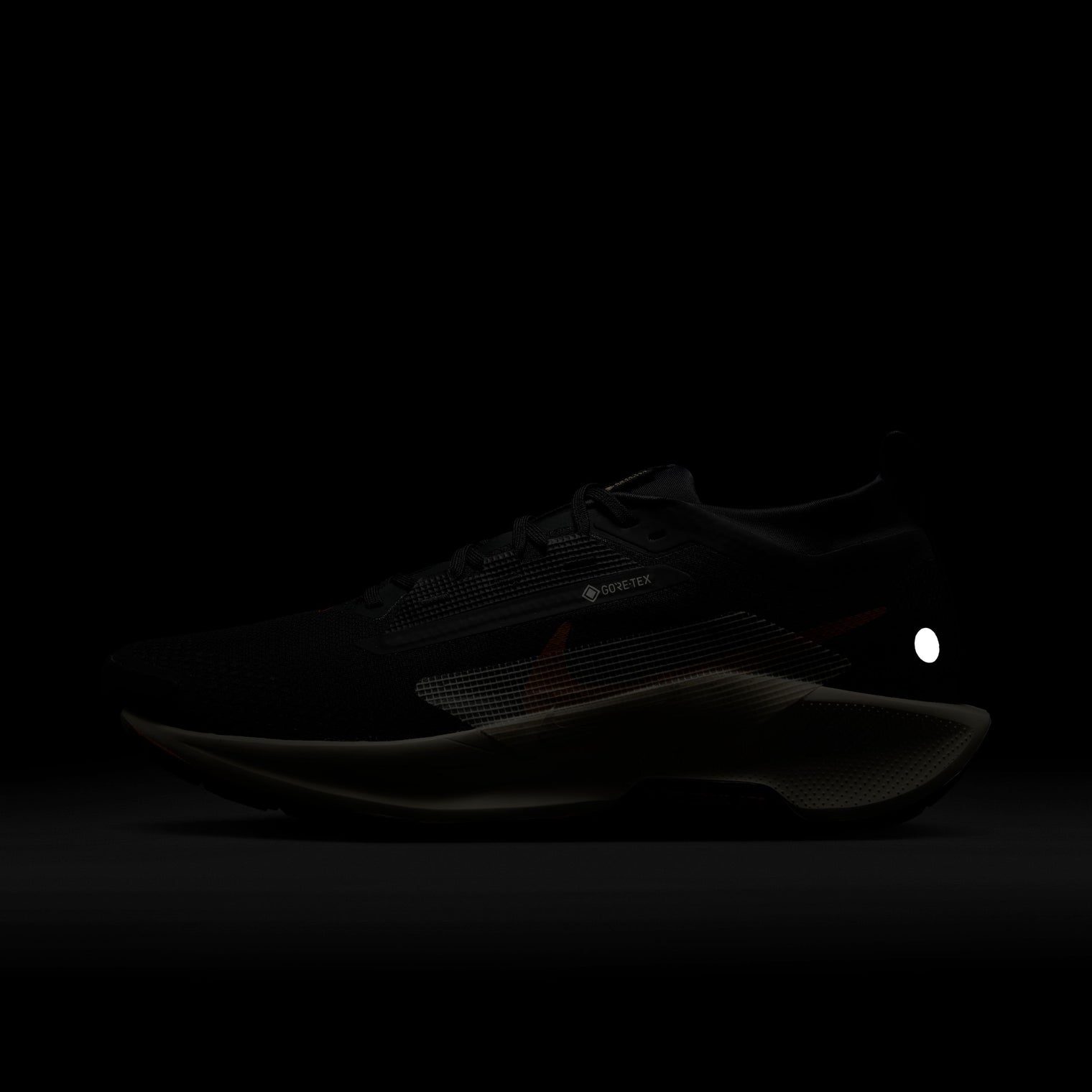 NIKE REACTX PEGASUS TRAIL 5 GORETEX