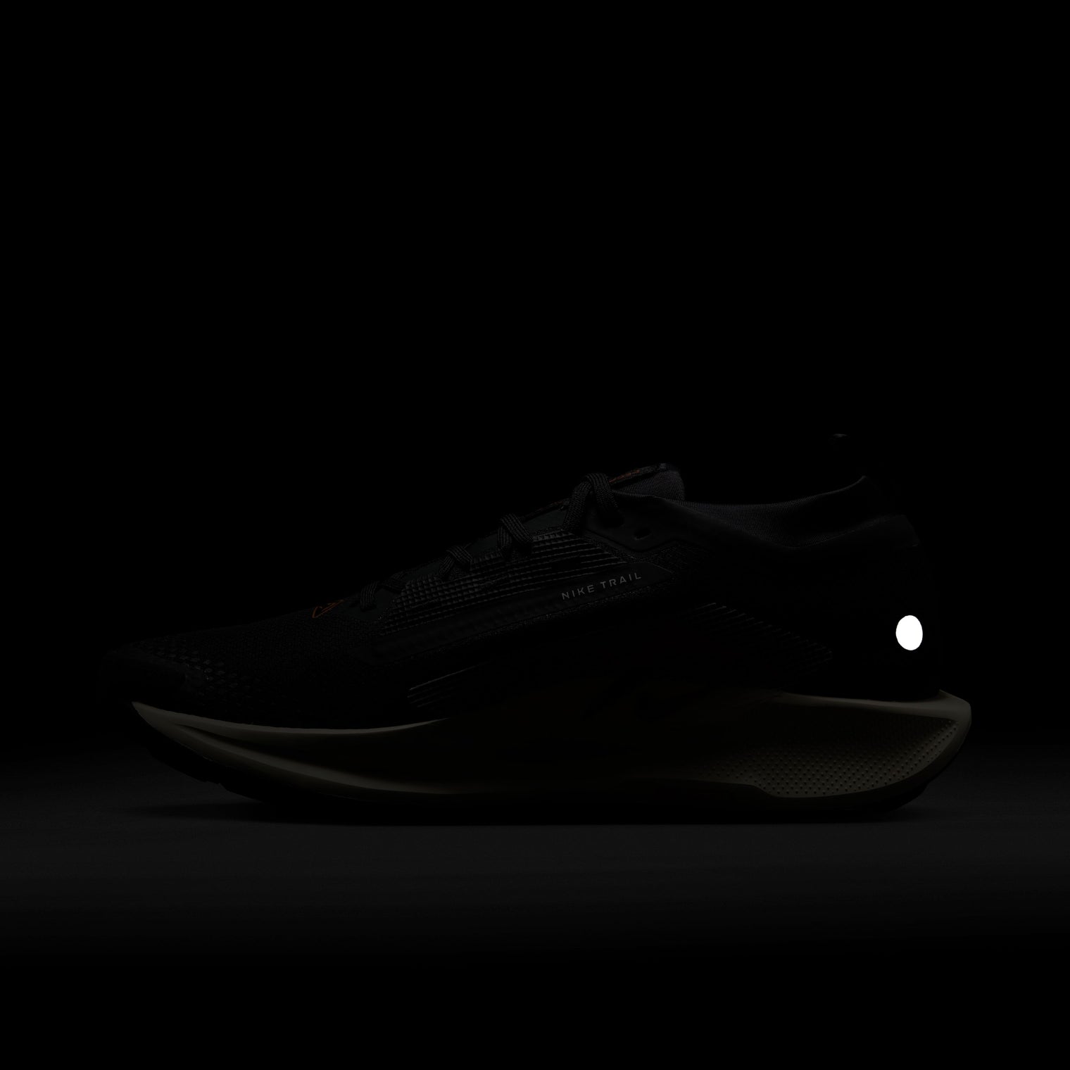 NIKE REACTX PEGASUS TRAIL 5 GORETEX