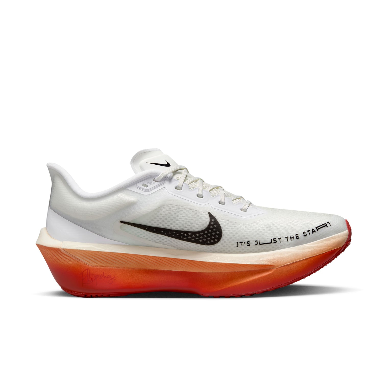 Zapato Nike Zoom Fly 6 "Eliud Kipchoge"