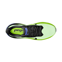 AIR ZOOM PEGASUS 42